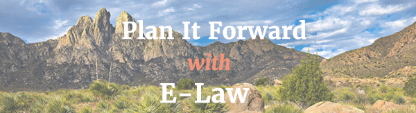 estate planning and elder law